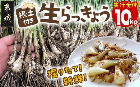 yst!z@肽!VN!!tyt傤10kg2026N5{ȍ~͂_22-L701_(ss)  sY tEyt 傤 傤 傤 |Xa 