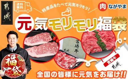 [福袋★2026]宮崎牛切り落とし・鉄板焼き用サーロイン2枚セット_AE