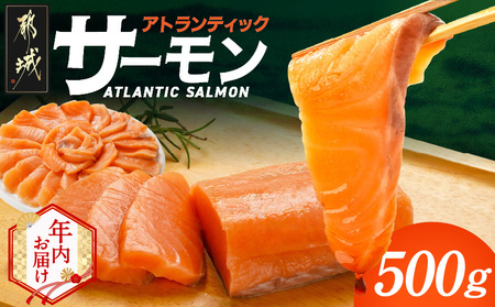 [年内お届け]アトランティックサーモン500g≪2025年12月15日〜31日お届け≫