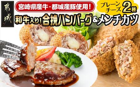 和牛入り合挽ハンバーグ&メンチカツ2種セット