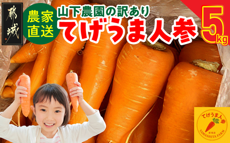 [農家直送]山下農園の訳あり「てげうま人参」5kg_LD-I703_(都城市) 都城産 てげうま人参 5kg サイズ混合 補償分 100g 切るのも簡単 火の通りも早い てげ(すごく)うまい