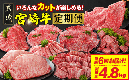 ≪6回連続お届け≫いろんなカットが楽しめる宮崎牛定期便M(総重量4.8kg)_T100-6-N201_(都城市) 宮崎牛 牛肉 肉 肩ロース ウデまたはモモ ロース 焼肉 すき焼き しゃぶしゃぶ ステーキ ミヤチク