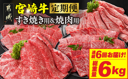 6A͂{苍Ԑg~HהגM(d6kg)_T102-6-N201_(ss) {苍 XCX ē 2Zbg [X̓[X Ef̓