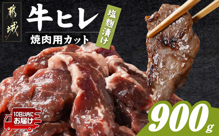 牛ヒレ塩麹タレ漬け900g(焼肉用カット)≪みやこんじょ特急便≫_LG-3330-Q_(都城市)