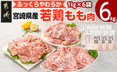 y2025N12͂z{茧Y{ (6kg)_16-G301-2512