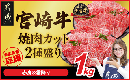 [2026年2月お届け]畜産農家応援! 宮崎牛焼肉2種セット500g×2パック_17E-N202-2602_(都城市) お届け月が選べる 宮崎牛 肩ロース ウデ モモ 焼肉 500g ギャル曽根さんおすすめの牛肉返礼品