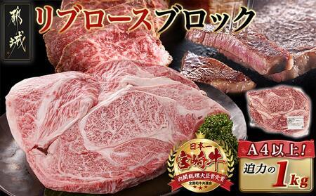 y2025N12͂z{苍u[XubN(1kg)_AD-N405-2512