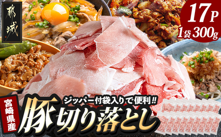 【2026年2月お届け】宮崎県産豚切り落とし5.1kg(ジッパー付袋入り)_18-1507-2602