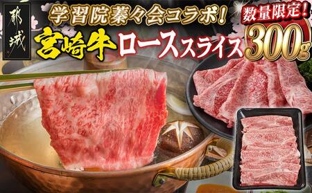 wK@XR{{苍[XXCX300g_18-N401_(ss) {茧Y {苍 [X XCX Ă Ԃ 300g p Mtg