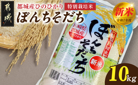 sYЂ̂Ђʍ͔|āuڂ񂿂v10kg(5kg×2)_31-N501_(ss) sY  10kg 5kg×2 Ђ̂Ђ ڂ񂿂