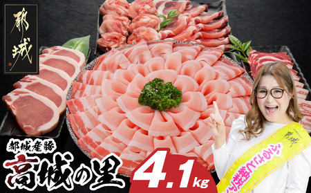 y2026N2͂zu̗v킭킭4.1kgZbg(^)_22-8401-s-2602