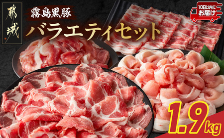 ؃oGeBZbg1.9kg݂₱񂶂}ց_17-2802-Q_(ss)  ؂ [X [X o E؂藎Ƃ ^