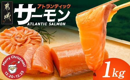 yNX}XzAgeBbNT[1kg1220?23͂_MJ-M301-OJX_(ss) AgeBbNT[ T[ }Ⓚ CN Jpb` jG