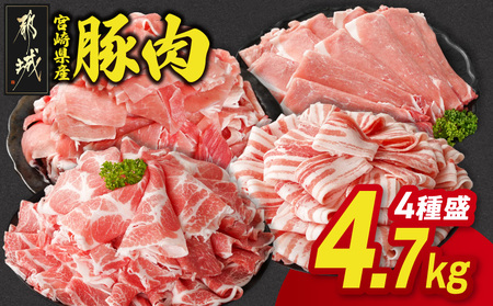 y2026N8͂z{茧YؓՂ4.2kgZbg_19E-N201-2608_(ss) {茧Y oXCX [X̓[XXCX XCX Ԑ؂ ؓ