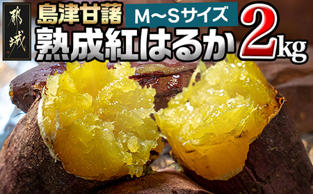 島津甘藷 熟成紅はるか 2kg(M〜S)_LB-A701_(都城市) さつまいも 幻のサツマイモ 幻の品種 紅はるか 2kg M〜S べにはるか 生芋 ベジエイト 熟成 芋 定番 焼き芋 アウトドア