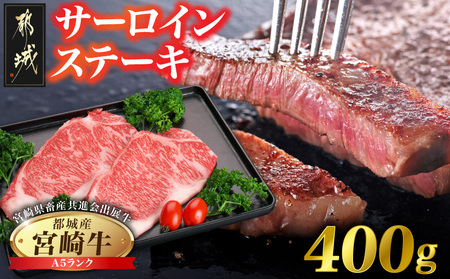 [共進会牛](A5)宮崎牛サーロインステーキ200g×2_AD-2511_(都城市) 宮崎県 宮崎牛 サーロイン ロース ステーキ 真空 品評会出展牛 特別セット