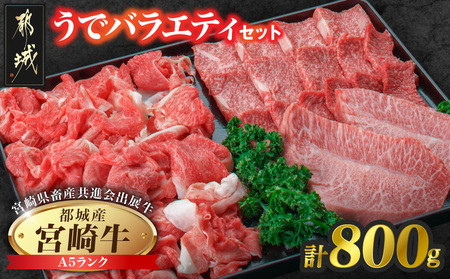 [共進会牛](A5)宮崎牛うでバラエティセット_21-2502_(都城市) 宮崎県 宮崎牛 ウデ 肩 ミスジ ステーキ 焼肉 切り落とし 真空 品評会出展牛 特別セット