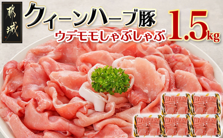 �y2026�N2�����͂��z�u�N�C�[���n�[�u�؁v�E�f��������Ԃ����1.5kg_AA-2905-2602