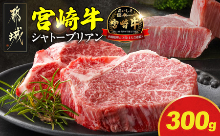 �y2026�N3�����͂��z�{�苍�V���g�[�u���A���X�e�[�L150g×2��_AI-N201-2603