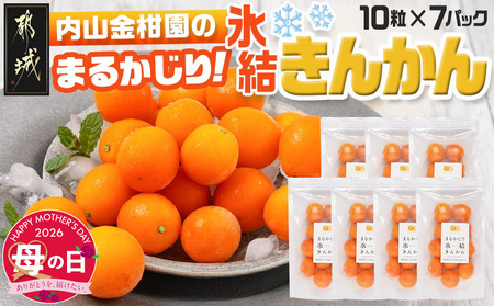 [母の日]内山金柑園のまるかじり氷結きんかん7パック≪5月7日〜10日お届け≫_AO-J703-MG_(都城市) 内山金柑園 完熟きんかん 氷結きんかん 急速冷凍 糖度16%以上 シャーベット 10粒 母の日 ギフト