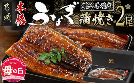 [母の日]職人手焼きの本格うなぎ蒲焼き2尾≪5月7日〜10日お届け≫_MJ-3305-MG_(都城市) 国産 本格 うなぎ 鰻 蒲焼 宮崎 じっくり 特製タレ 香り豊かな ふっくら 香ばしい うなぎ 母の日