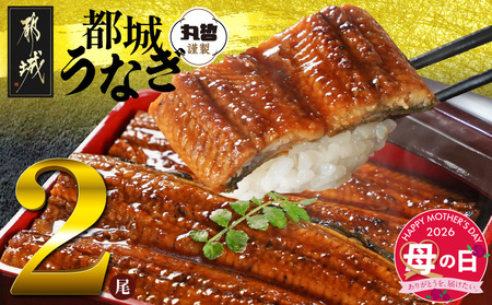 [母の日]宮崎県育ちのうなぎ蒲焼2尾300g以上≪山椒・たれ付≫≪5月7日〜10日お届け≫_13-M301-MG_(都城市) うなぎ蒲焼(有頭) 宮崎県産 真空 山椒・たれ付 母の日 ギフト
