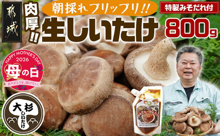 [母の日]朝採れ肉厚生しいたけと特製みそだれ≪5月7日〜10日お届け≫_AA-8701-MG_(都城市) 特製みそだれ付き 朝採れ生椎茸 約400g×1袋・約200g×2袋 計800g どんこ椎茸 贈り物・ギフトにも 国産 宮崎県産 チーズとも相性抜群 山之口町産 冷蔵保存 冷凍保存可 母の日 ギフト