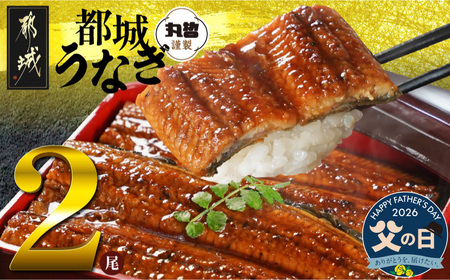 [父の日]宮崎県育ちのうなぎ蒲焼2尾300g以上≪山椒・たれ付≫≪6月18日〜21日お届け≫_13-M301-FG_(都城市) うなぎ蒲焼(有頭) 宮崎県産 真空 山椒・たれ付 父の日 ギフト
