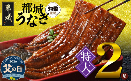 【父の日】宮崎県育ちの【特大】うなぎ蒲焼2尾440g以上≪山椒・たれ付≫≪6月18日～21日お届け≫〔18-M301-FG〕_(都城市)  特大うなぎ蒲焼(有頭) 宮崎県産 真空 山椒・たれ付