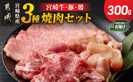 宮崎県産≪宮崎牛・豚・鶏≫3種の焼肉セット300g≪みやこんじょ快速便≫_AA-89-003-300g-R_(都城市) 宮崎県産 焼肉セット 宮崎牛バラ 豚肉(ロース又は肩ロース) 鶏モモ肉