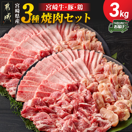宮崎県産≪宮崎牛・豚・鶏≫3種の焼肉セット300g×10パック≪みやこんじょ快速便≫〔28-89-003-3kg-R〕_(都城市)  宮崎県産 焼肉セット 宮崎牛バラ 豚肉(ロース又は肩ロース) 鶏モモ肉