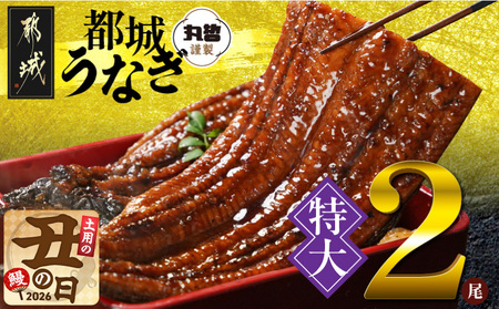 【丑の日】宮崎県育ちの【特大】うなぎ蒲焼2尾440g以上≪山椒・たれ付≫≪7月20日～25日お届け≫〔18-M301-UG〕_(都城市) 特大うなぎ蒲焼(有頭) 宮崎県産 真空 山椒・たれ付