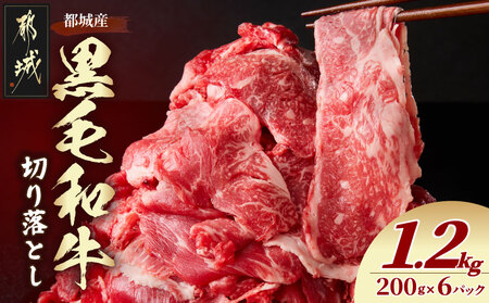 黒毛和牛切り落とし1.2kg_16-7701_(都城市) ネック・スネ・ブリスケ使用 小分けパック 炒め物 煮込み料理