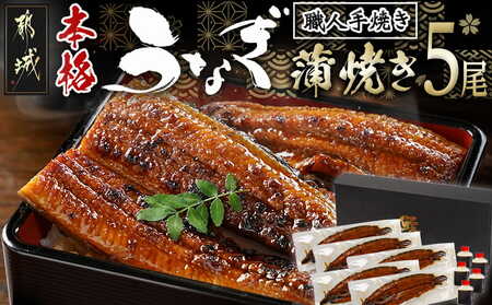 職人手焼きの本格うなぎ蒲焼き5尾_32-33-003-5_(都城市) うなぎ 蒲焼き 5尾 たれ 鰻 かば焼き