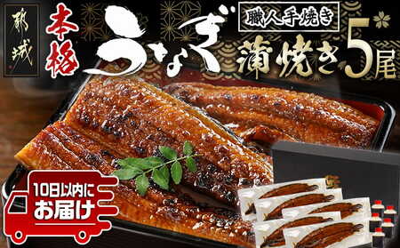 職人手焼きの本格うなぎ蒲焼き5尾≪みやこんじょ特急便≫_32-33-003-5-Q_(都城市) うなぎ 蒲焼き 5尾 タレ 鰻 かば焼き