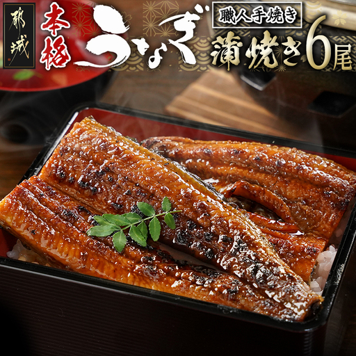 職人手焼きの本格うなぎ蒲焼き6尾〔38-33-003-6〕_(都城市) うなぎ蒲焼き 6尾 タレ 鰻 かば焼き