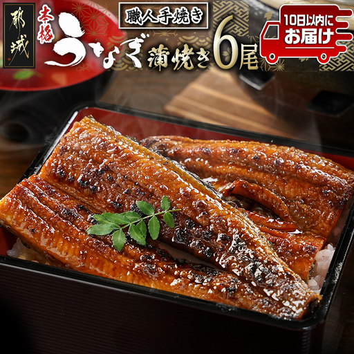 職人手焼きの本格うなぎ蒲焼き6尾≪みやこんじょ特急便≫〔38-33-003-6-Q〕_(都城市) うなぎ蒲焼き 6尾 タレ 鰻 かば焼き