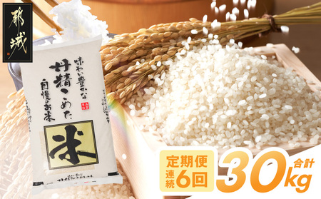 ≪6回お届け!≫都城産米と国産米ブレンド 5kg_T66-6-33-001-5kg_(都城市) お米 国産ブレンド米 5kg 6回 定期便 精米