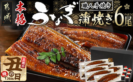 【丑の日】職人手焼きの本格うなぎ蒲焼き6尾≪7月20日～25日お届け≫_38-33-003-6-UG_(都城市) うなぎ 蒲焼き 6尾 たれ 鰻 かば焼き 土用の丑の日