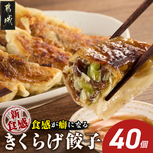 食感が癖になる!きくらげ餃子40個