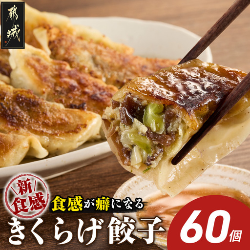 食感が癖になる!きくらげ餃子60個〔12-87-001-60〕