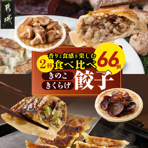 香りを堪能「きのこ餃子」&食感楽しむ「きくらげ餃子」食べ比べ66個〔12-87-002〕_(都城市) ギョウザ きくらげ餃子 きのこ餃子 にんにく使用 大杉しいたけ園 2種 食べ比べ 焼き餃子 水餃子 揚げ餃子