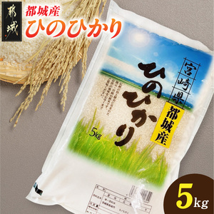 都城産ひのひかり5kg(5kg×1袋)_12-N5-002-5kg_(都城市) 都城産 お米 5kg ひのひかりお弁当 おにぎり