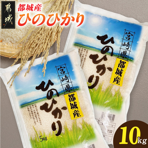 都城産ひのひかり10kg(5kg×2袋)〔21-N5-002-10kg〕_(都城市) 都城産 お米 10kg 5kg2袋 ひのひかりお弁当 おにぎり