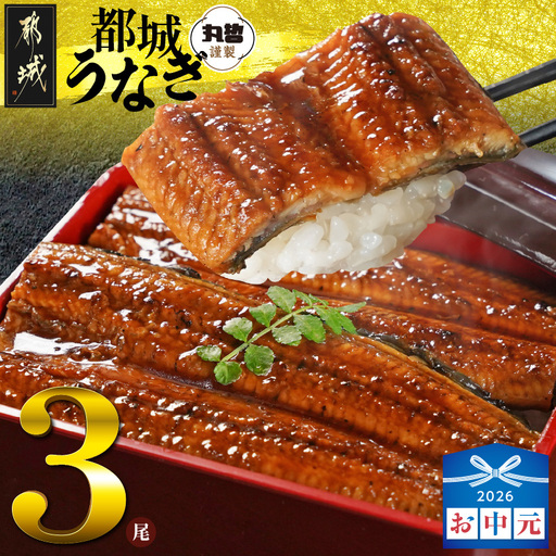 [お中元]宮崎県育ちのうなぎ蒲焼3尾500g以上≪山椒・たれ付≫