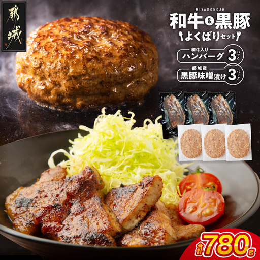 和牛入りハンバーグ&黒豚味噌漬けセット〔AA-N4-007〕_(都城市) 宮崎県産和牛・豚肉 ハンバーグ 黒豚ロースみそ漬け