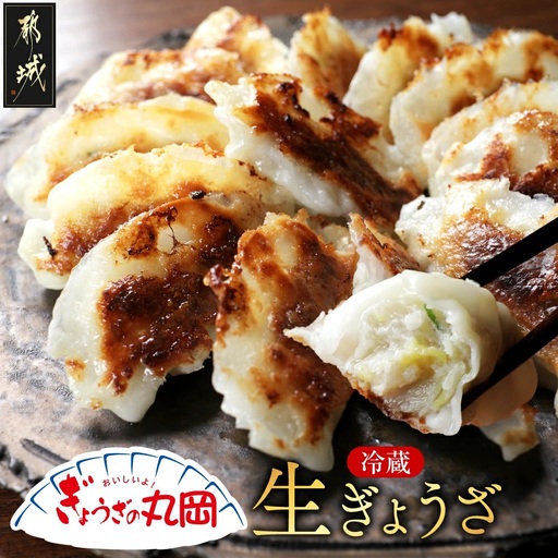 【ぎょうざの丸岡】生ぎょうざ50個たれ付き_AA-O1-001