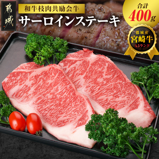 [和牛枝肉共励会牛](A5)宮崎牛サーロインステーキ200g×2_AD-25-001(都城市) 宮崎県 宮崎牛 サーロイン ロース ステーキ 真空 品評会出展牛 特別セット