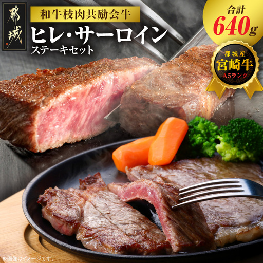 【和牛枝肉共励会牛】(A5)宮崎牛ヒレ・サーロインステーキセット_AF-25-003_(都城市) 宮崎県 宮崎牛 ヒレ サーロイン ステーキ 真空 品評会出展牛 特別セット