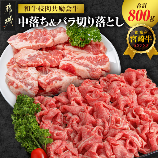 [和牛枝肉共励会牛](A5)宮崎牛中落ち&バラ切り落としセット_17-25-006_(都城市) 宮崎県 宮崎牛 中落ち バラ 煮込み おでん 焼肉 すき焼き 牛丼 品評会出展牛 特別セット